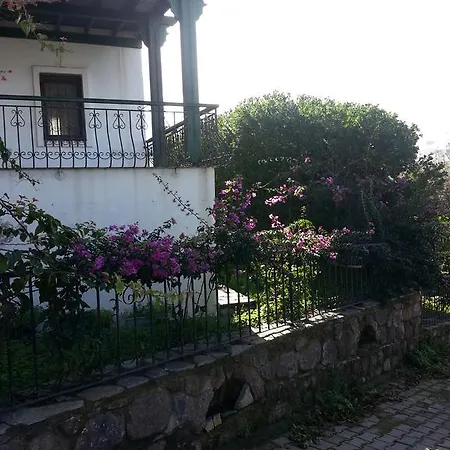Bodrum Bougainvilliers 빌라 골터크부쿠